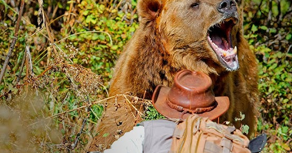 Đi săn gấu cùng bạn, người đàn ông tử vong thương tâm: Nhân chứng kể lại chi tiết ám ảnh