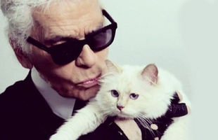 Mèo cưng của Karl Lagerfeld sẽ kế thừa khối tài sản 4.600 tỷ đồng, trở thành 