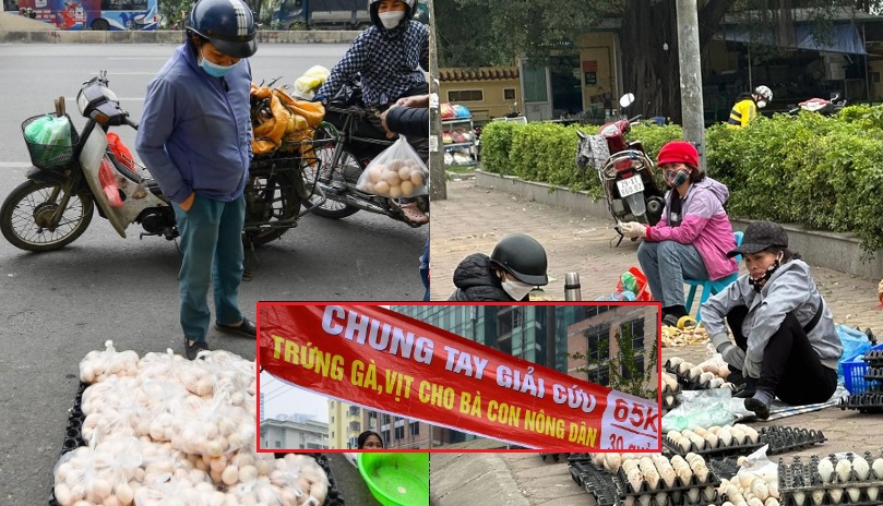 Thực hư trứng gà “giải cứu” 65.000 đồng/30 quả?