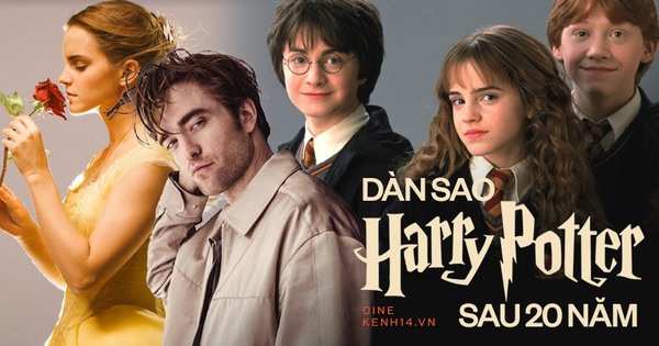 Dàn sao Harry Potter sau 20 năm: 