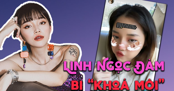 Giỡn chơi quá đà, Linh Ngọc Đàm bị Facebook 