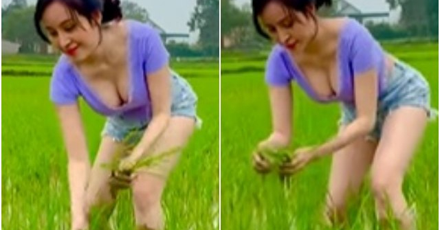 Hot girl Nghệ An lại gây tranh cãi vì mặc hớ hênh khi làm ruộng