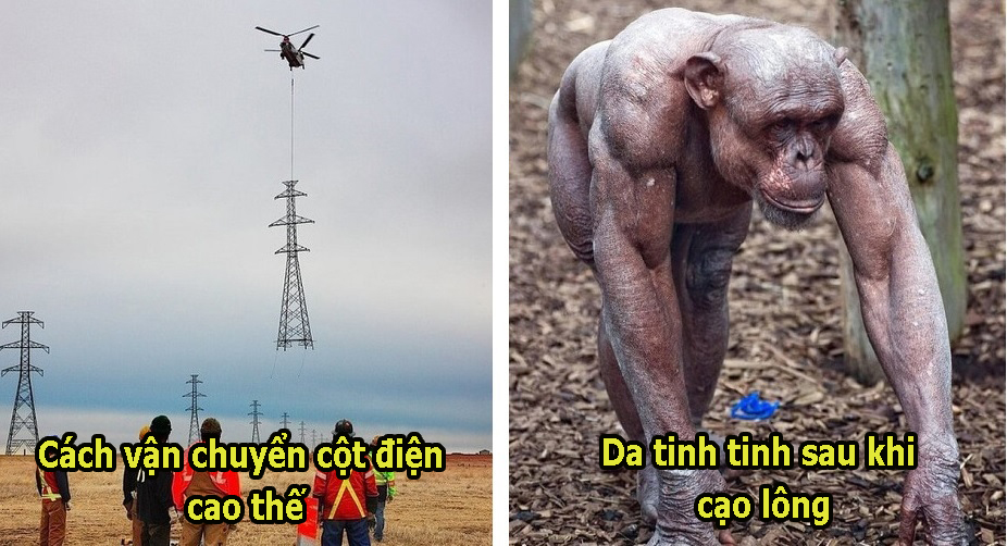 17 bức ảnh hiếm thấy vén màn những bí ẩn muôn thuở về thế giới quanh ta