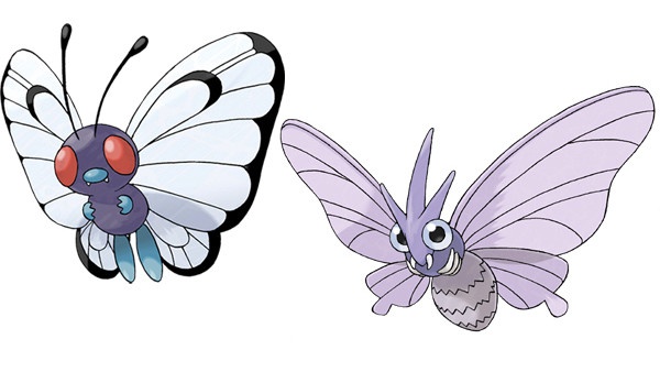 Pokémon: Venonat và Metapod vô tình bị đảo lộn?