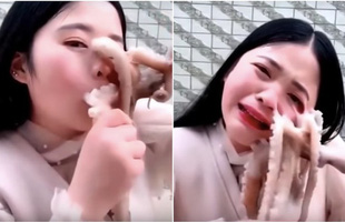 Nữ vlogger thực hiện thử thách ăn bạch tuộc sống, nhưng con bạch tuộc cũng cố ăn lại cô ấy