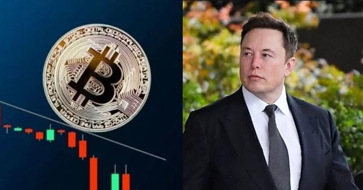 Điều gì làm Bitcoin lên xuống chóng mặt: Elon Musk đang đùa với cuộc đời của vô số người?