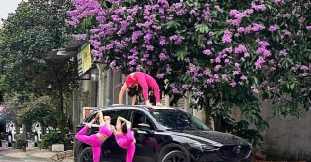 Chị em tạo dáng yoga "đu trend" hoa bằng lăng gây xôn xao MXH