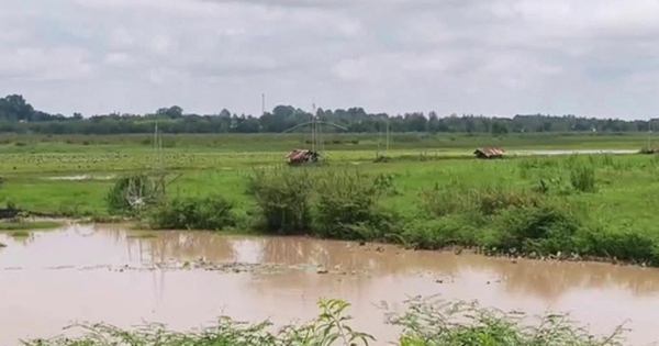 Đang đóng bè cá, 2 người đàn ông bị sét đánh tử vong