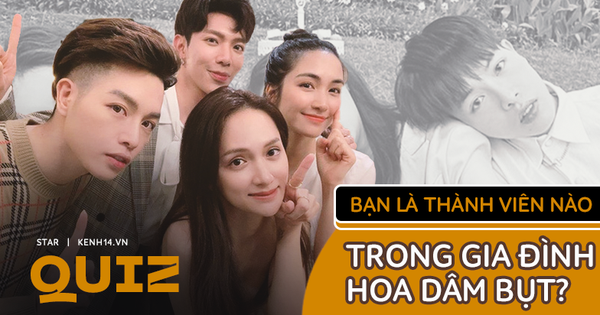 Quiz: Bạn là ai trong gia đình Hoa dâm bụt? 9 câu hỏi sau sẽ giải đáp, nhưng sao khó vào Đức Phúc - Hương Giang thế này?