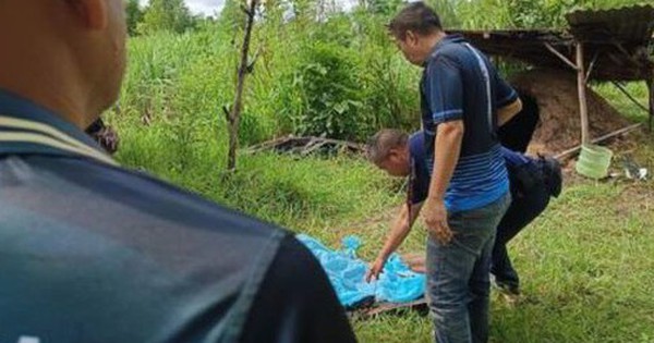 Phát hiện mùi bất thường khi đi chặt mía, người dân sốc nặng khi nhìn vào lò than