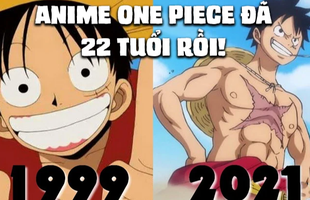 Mừng anime One Piece tròn 22 tuổi, fan chia sẻ thật rằng 