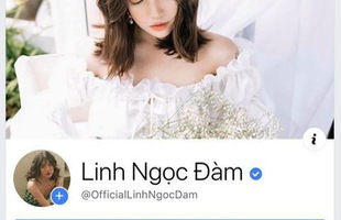 Linh Ngọc Đàm hớn hở khoe fanpage chính chủ tích xanh, hứa report chết toàn bộ trang giả mạo