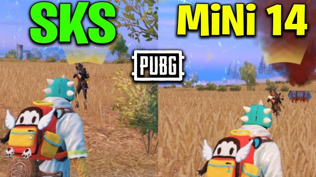 Mini-14 đối đầu SKS: Đâu là Súng trường thiện xạ tốt hơn trong PUBG Mobile?