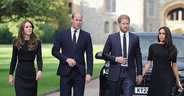 Vua Charles, William - Kate và Harry - Meghan đều bị sụt giảm danh tiếng