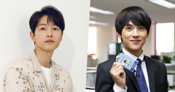 Nghe tin Song Joong Ki suýt đóng chính Misaeng, netizen không tiếc mà vẫn ưng Im Siwan hơn nha!