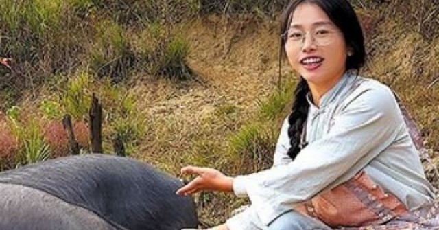 Cô gái bỏ việc văn phòng về quê nuôi lợn
