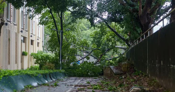 Bão Wipha khiến hơn 30 người bị thương ở Hong Kong (Trung Quốc), 3 người thiệt mạng ở Philippines