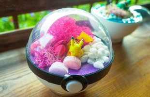 PokeCraft: Những trái Pokeball đẹp lung linh của nhóm bạn yêu Pokemon