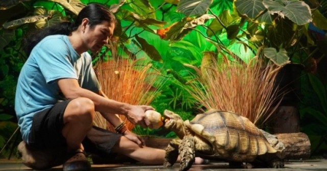 Người đàn ông ở Hà Nội nuôi thú cưng 'khổng lồ', mỗi bữa tốn vài cân thức ăn
