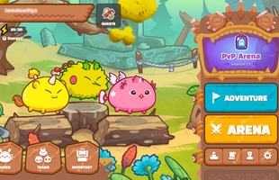 Chủ tịch của Axie Infinity thông báo tin buồn với game thủ