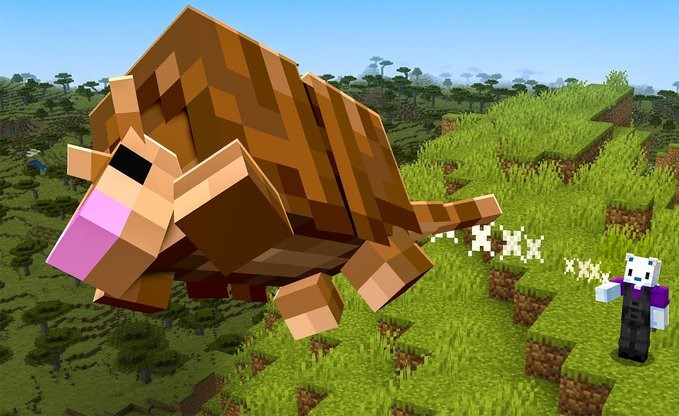 Mọi thông tin mà game thủ cần biết về Armadillo trong Minecraft 1.21