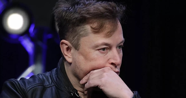 Elon Musk tiếp tục đuổi việc nhân viên Twitter sau làn sóng sa thải