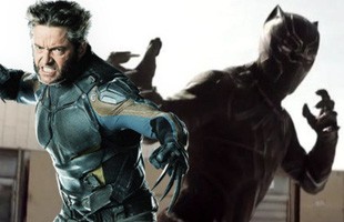 Phản biện: Wolverine sọ sức với Black Panther, 5 lý do Người Sói sẽ giành chiến thắng trong trận đấu tay đôi