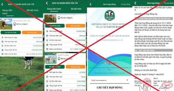 Công an công bố hai đường link "nuôi bò" độc hại: Ít nhất 751 người đã là nạn nhân, thiệt hại hơn 17 tỷ