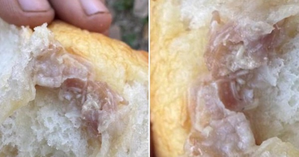 Đang ăn bánh mì, thanh niên sốc nặng khi thấy thứ bên trong