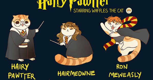 Khi các nhân vật nổi tiếng biến hóa thành mèo ú: Harry Potter hay công chúa Disney đều dễ thương miễn bàn