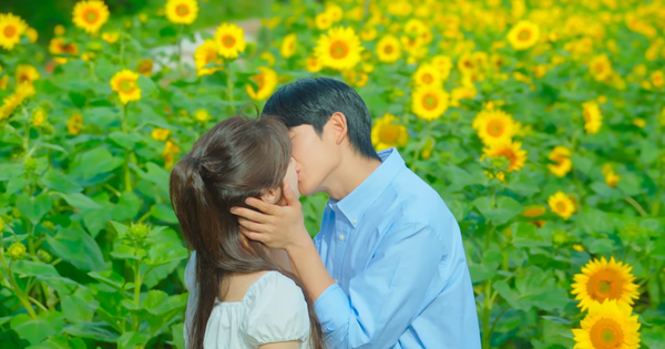 Love Next Door tập 11: Jung Hae In và Jung So Min khóa môi ngọt lịm khiến netizen bấn loạn