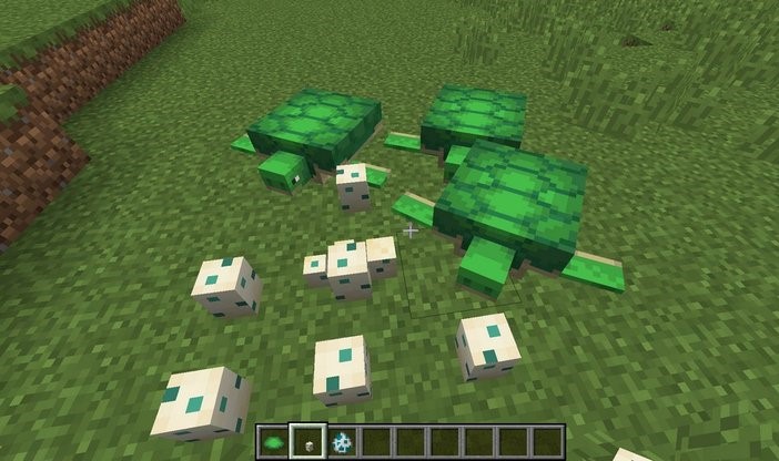 Hướng dẫn cách sử dụng và nhân giống rùa trong Minecraft 2023