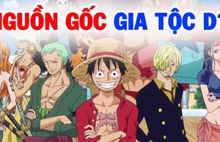 One Piece: Có lẽ Oda đã âm thầm tiết lộ về bí mật của gia tộc D. trong chap 996?