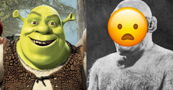 Ai mà ngờ chằn tinh Shrek lại 