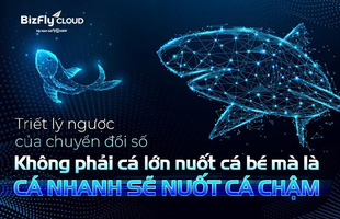 Triết lý ngược của chuyển đổi số: Không phải cá lớn nuốt cá bé mà là cá nhanh sẽ nuốt cá chậm