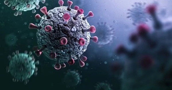 Chủng virus corona mới phát hiện có nguy cơ lây lan mạnh như COVID-19?