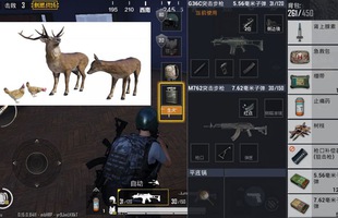 PUBG Mobile: Tencent bổ sung muông thú, dấu chân và thêm chế độ chơi 