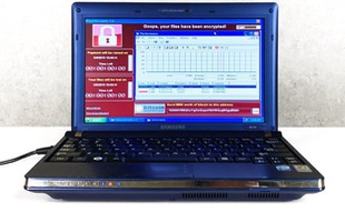 Đây là chiếc laptop có giá lên tới 1 triệu USD vì bị nhiễm 6 virus nguy hiểm nhất thế giới cùng lúc