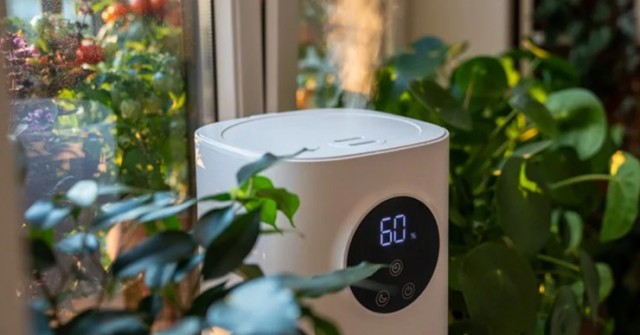 Có nên sử dụng máy tạo độ ẩm trong phòng điều hòa?
