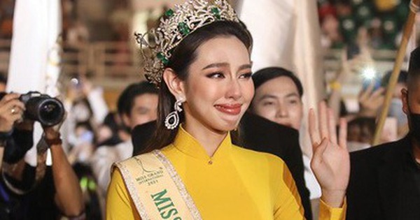 Sen Vàng 