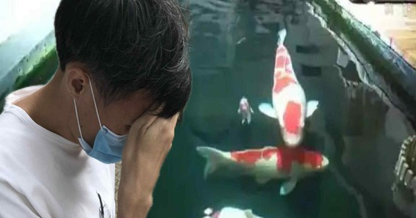 Chi tiền khủng cải tạo tầng hầm chung cư thành ao cá Koi, người đàn ông bị hàng xóm kiện ra tòa: “Anh không được làm thế”