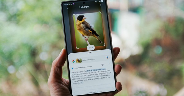 Khám phá Bidoup - Núi Bà cùng Galaxy S25 Series và “hướng dẫn viên AI” Gemini Live