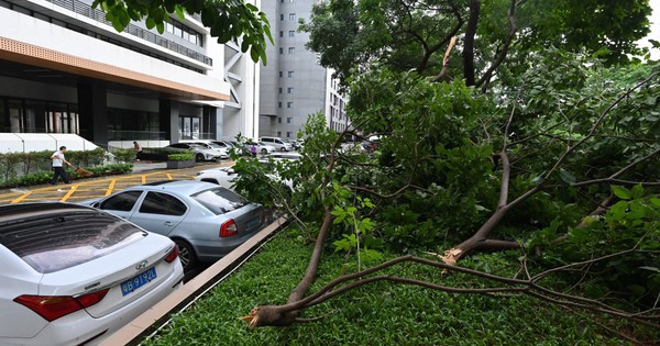 Lũ quét tại Trung Quốc và Mỹ: Những lời cảnh tỉnh nghiêm khắc từ thiên nhiên