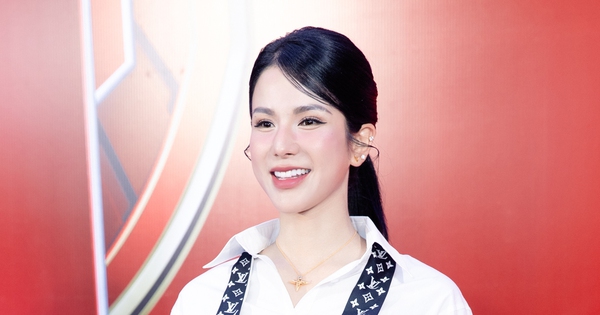 Phỏng vấn nóng Diệp Lâm Anh: "Có thế lực ngầm nào đó tấn công tôi"