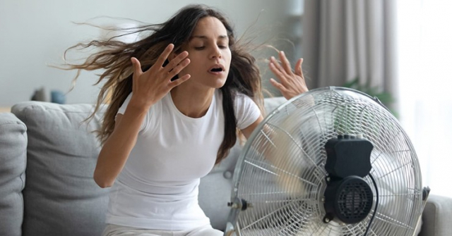 Nên đặt quạt trên mặt đất hay trên cao sẽ tốt hơn?