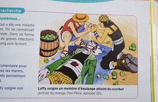Lầy như nước Pháp, đem cả bộ truyện One Piece vào giảng dạy trong sách giáo khoa