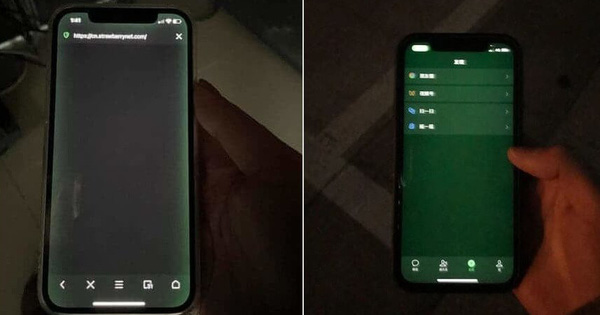 Góc cảnh báo: Apple từ chối bảo hành màn hình iPhone 12 bị ám xanh lá cây