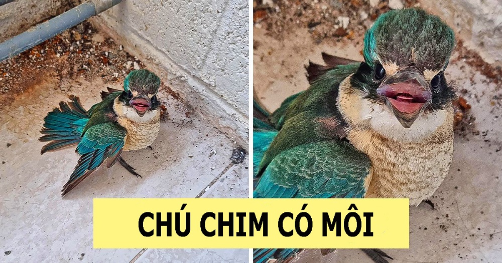 Loạt ảnh chứng minh những thứ bình thường cũng có thể khiến chúng ta bất ngờ