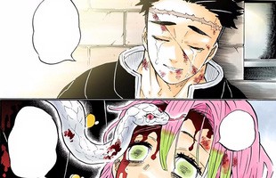 Kimetsu no Yaiba: Điểm danh những kiếm sĩ diệt quỷ đã hy sinh trong trận chiến cuối cùng (P.2)