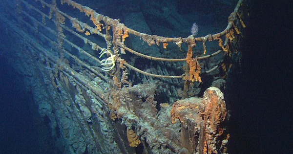 Vì sao xác tàu Titanic chứa đầy quần áo và giày của hành khách xấu số, nhưng tuyệt nhiên không tìm thấy xương người?